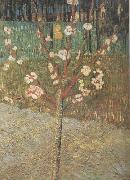 Almond Tree in Blossom (nn04), Vincent Van Gogh
